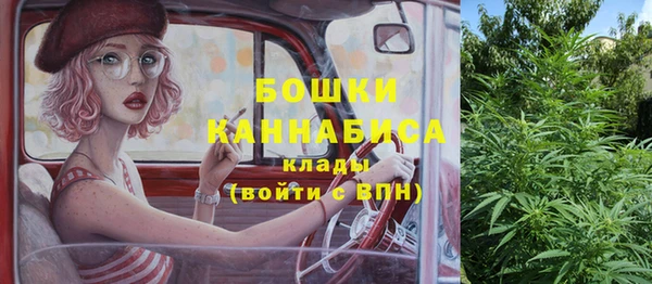 прущая мука Богородск