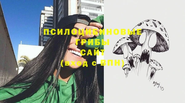 прущая мука Богородск