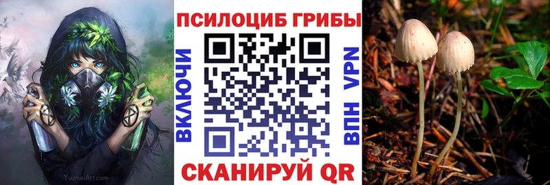 Псилоцибиновые грибы Cubensis  наркошоп  darknet какой сайт  Великий Устюг 
