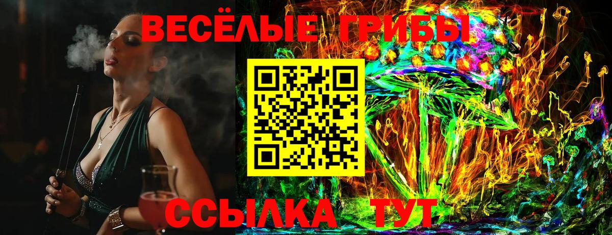 Великий Устюг  Псилоцибиновые грибы Psilocybine cubensis  Псилоцибиновые грибы GOLDEN TEACHER  что такое наркотик  Вход с VPN 