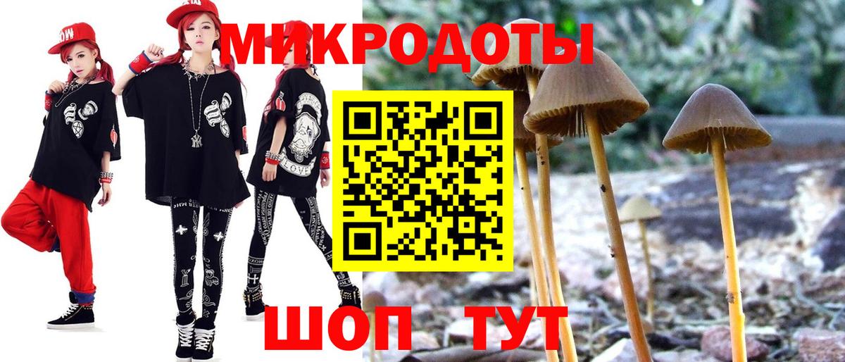 Галлюциногенные грибы Psilocybine cubensis Великий Устюг