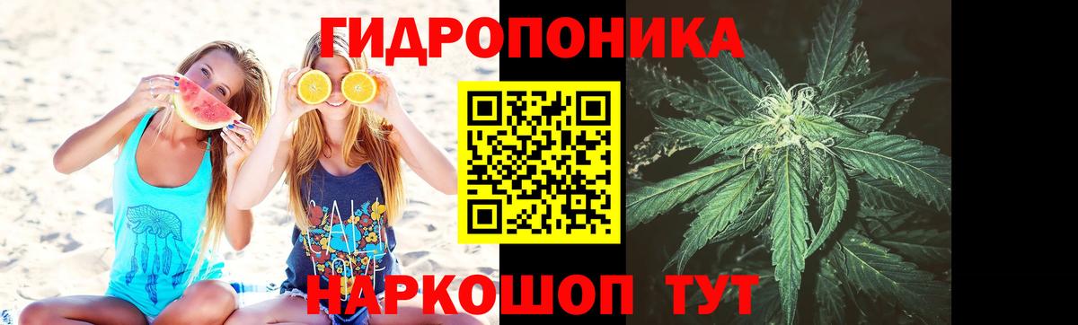 Бошки марихуана семена Великий Устюг